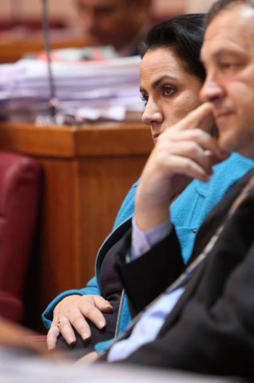 Robert Anić/PIXSELL