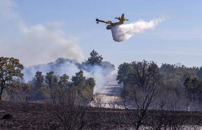 Požar kod turističkog naselja pored Rovinja gasi Air Tractor, pozvana i dva kanadera