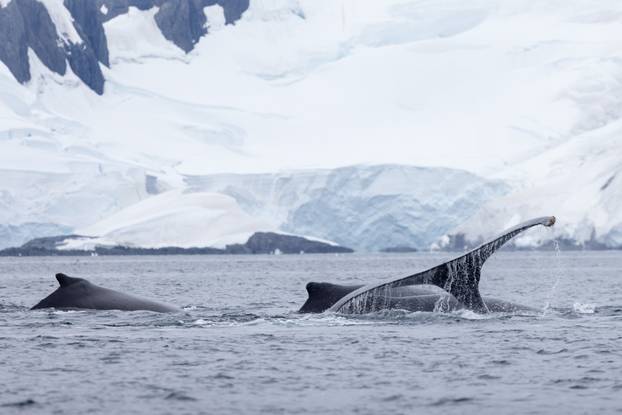 FOTO Par iz Dalmacije motorima obišao cijelu Južnu Ameriku: Pogledajte te prirodne ljepote!