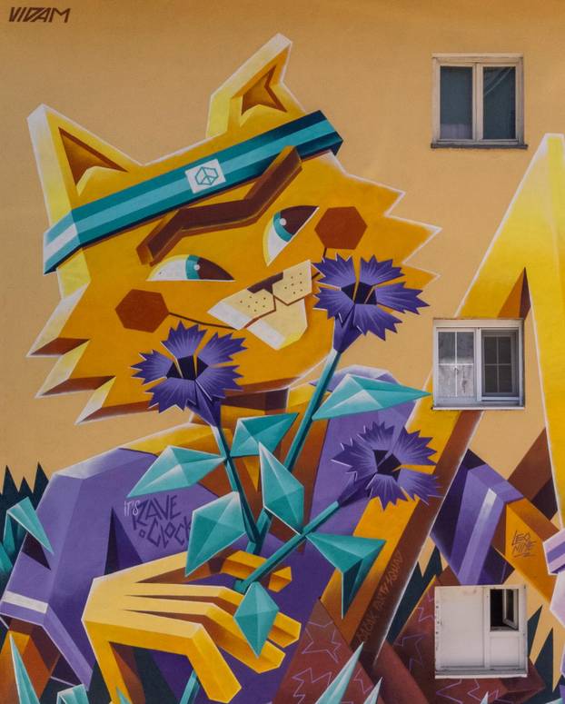 FOTO Grad pretvoren u galeriju: Pogledajte predivne murale na kućama i zgradama u Čačku