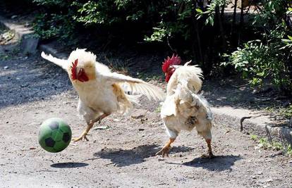 Kineski pijevci Pele i Puškaš igraju nogomet