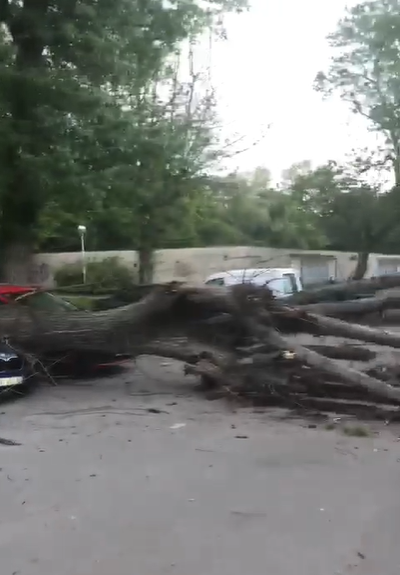 Stablo uništilo auto, drugo palo na krov kuće: 'Čula sam snažan udarac, mislila sam da je grom'