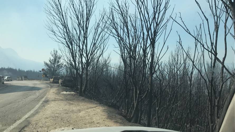 Piloti kanadera: Ovo je majka svih požara, to još nismo vidjeli