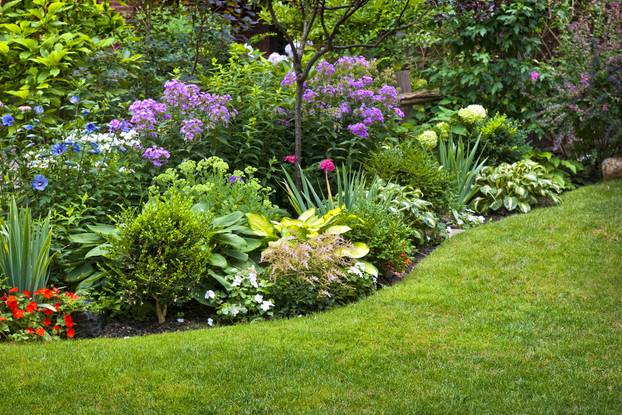 Lush,Landscaped,Garden,With,Flowerbed,And,Colorful,Plants