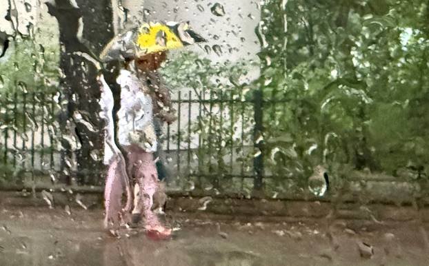 Heavy rain in Berlin
