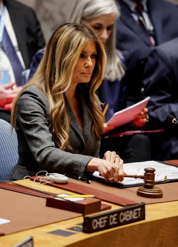 United Nations Security Council meeting in New York City