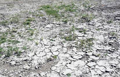 Rekordna suša u Istri: Od ponedjeljka restrikcija vode