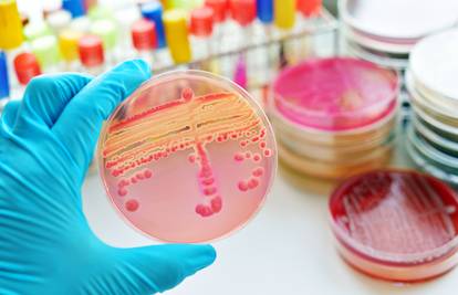 Ovo su najopasnije bakterije na svijetu, a antibiotici sve slabiji