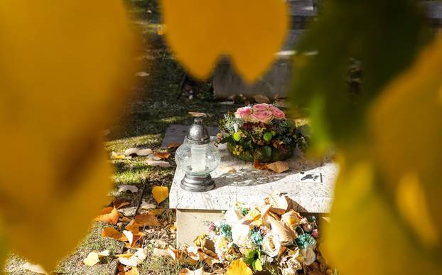 Zagreb: Groblje kućnih ljubimaca u Dumovcu obišao je jedino jedan mačak