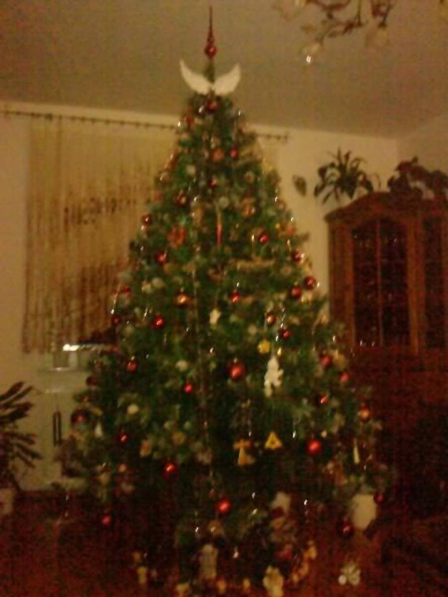 Šaljite fotografije božićnih jelki i osvojite vrijednu nagradu...