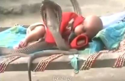 Oko malene bebe kruže četiri kobre: Čuvaju je dok spava?!