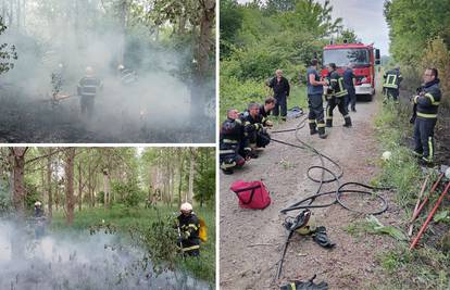 FOTO Nevjerojatno! Netko kod Valpova na 50 mjesta zapalio šumu. Policija lovi piromana?