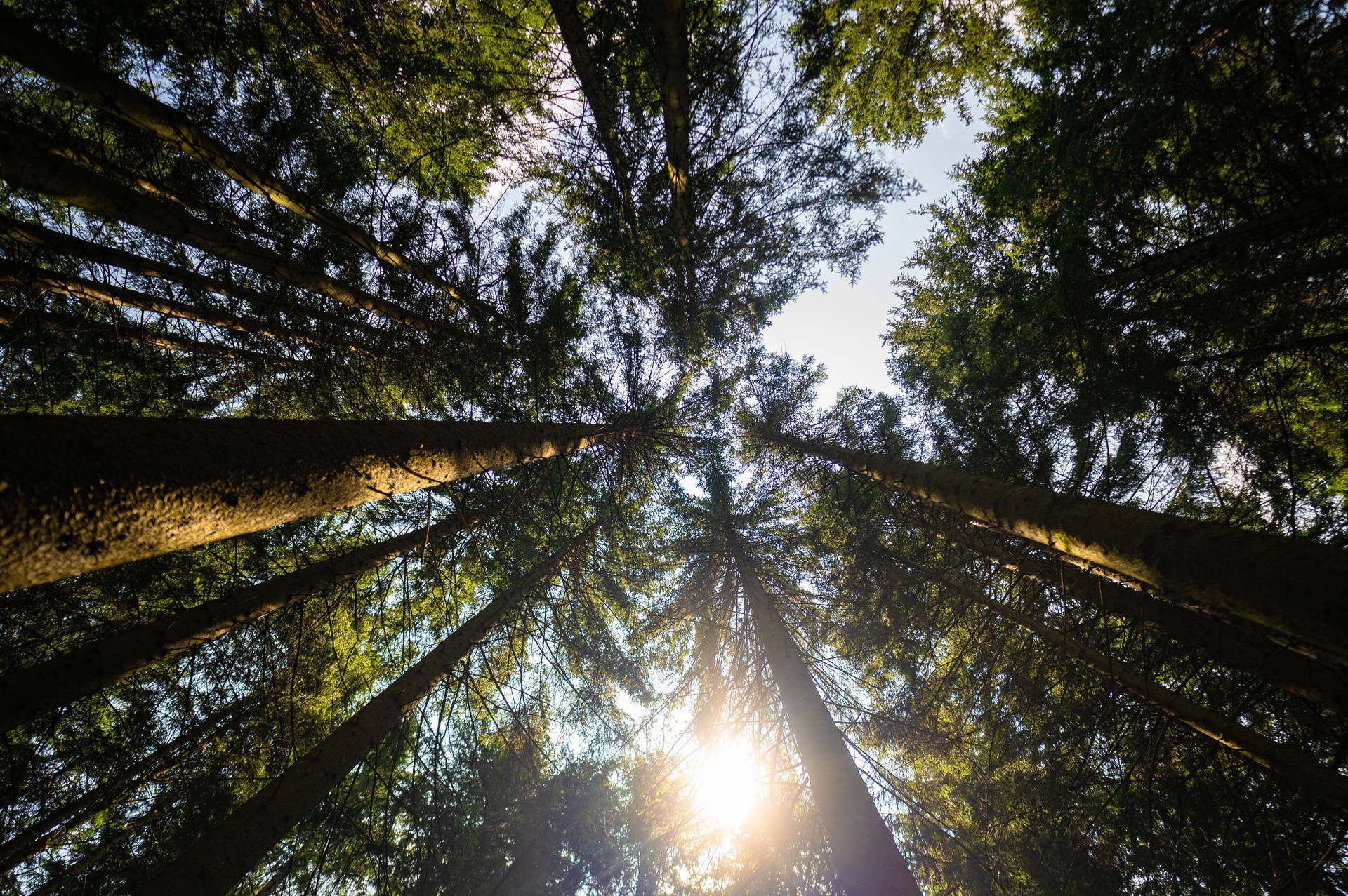 Gorska Hrvatska je mjesto na kojem se misli bistre, a tijelo uživa u svim osjetilima