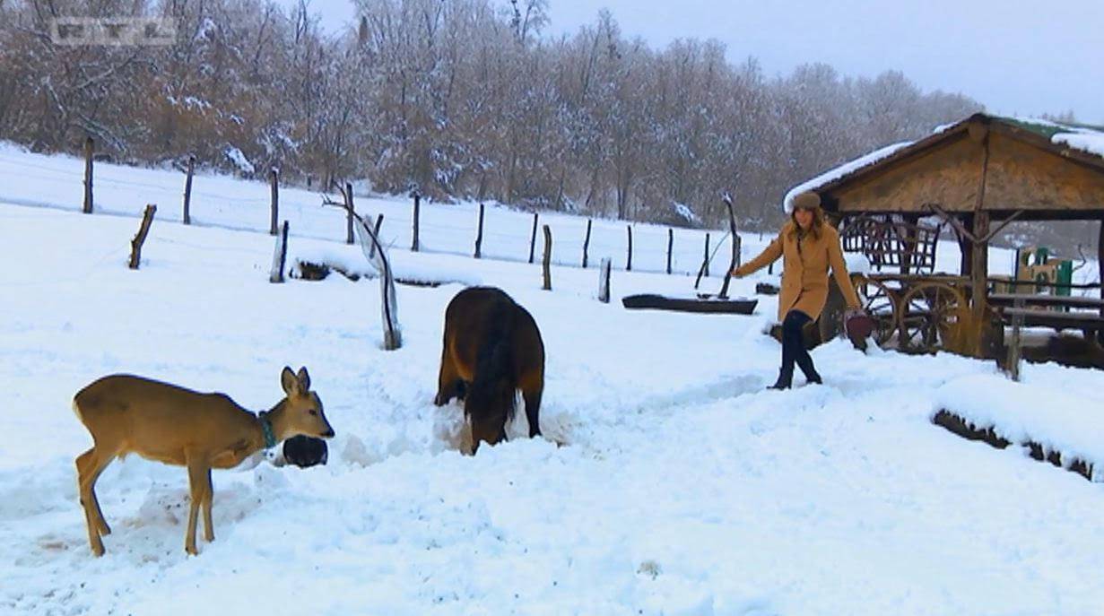 Farmeri upoznali kandidatkinje: Josip je za jednu kupio parfem