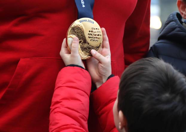 Šibenik: Doček za Ivicu Tucka, trenera zlatnih vaterpolista