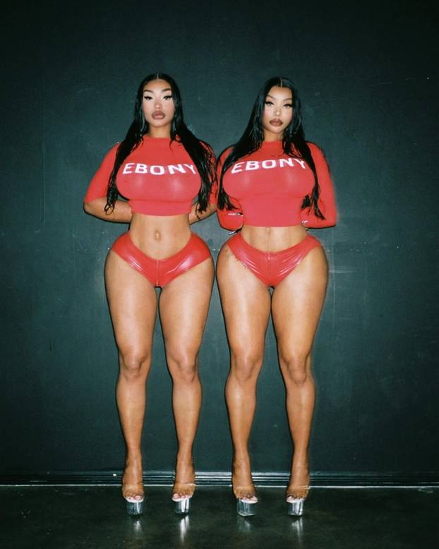 FOTO Jel' vidite duplo? Ne! Divlje blizanke ne vole odjeću, a jedna krade kreditne kartice...