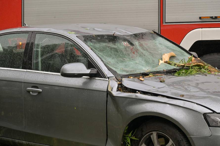 Zagreb: Palo stablo na Maksimirskoj, blokiran promet, vatrogasci na terenu