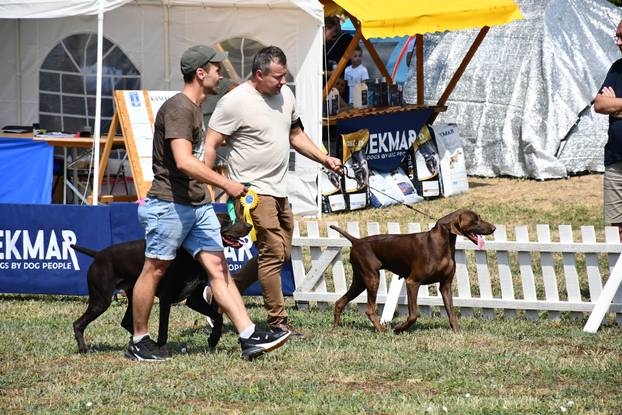 Požega: Nacionalna izložba pasa "CAC Požega 2024."