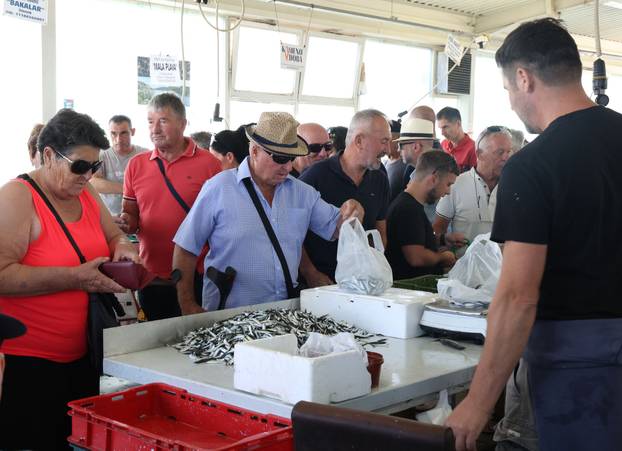 Šibenik:Bogata ponuda ribe na sibenskoj ribarnici.