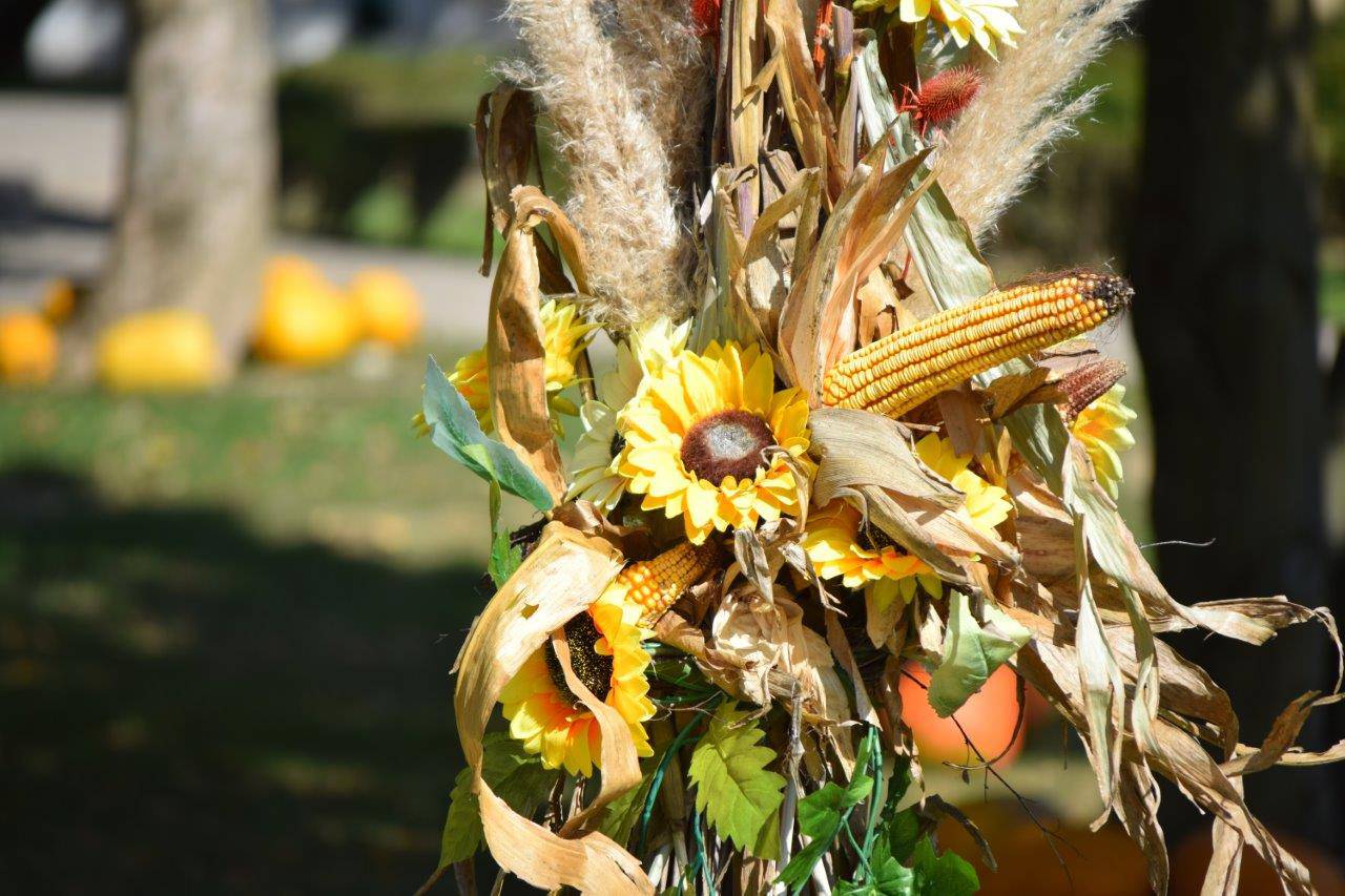 20. Bučijada u Ivanić-gradu – proslava tradicije, gastronomije i zabave