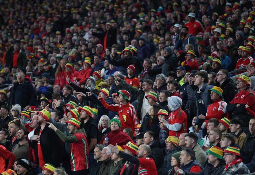 FIFA World Cup - UEFA Qualifiers - Semi Final - Wales v Bosnia and Herzegovina