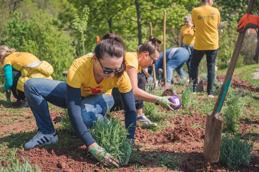 Zelena oaza mira: Znate li da vrtlarstvo povećava vitamin D u tijelu i odgađa demenciju?