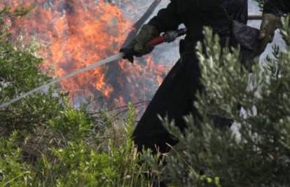 Korčula: Vatru ugasili, ali izgorjelo pet hektara šume