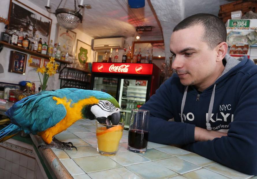 Duško Jaramaz/PIXSELL