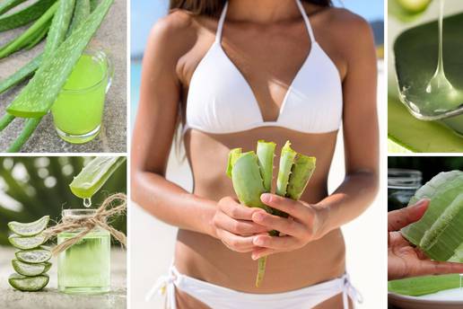 Aloe vera: Ovu čudesnu biljku isplati se imati kod kuće u tegli - pomaže kod brojnih tegoba