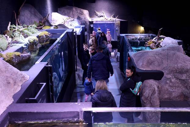 Slatkovodni akvarij Karlovac sudjeluje u manifestaciji Noć muzeja