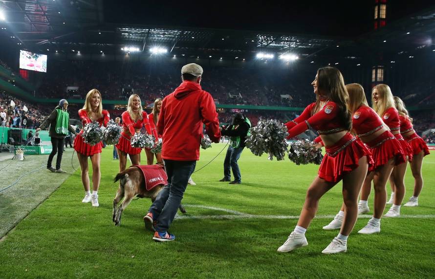 firo: 31.10.2018 Football, 1.Bundesliga, Season 2018/2019, DFB-Pokal, Cup, 1.FC Cologne Koln - FC Schalke 04