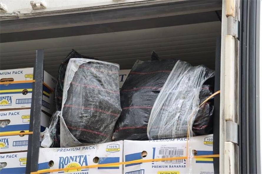 U riječkoj luci zaplijenili čak 85 kila kokaina. Sakrili su ih među bananama, stigle iz Ekvadora...