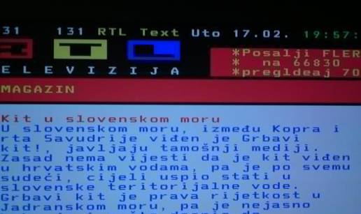 Šala RTL-a: Kit otišao do Slovenije jer su svi grbavi