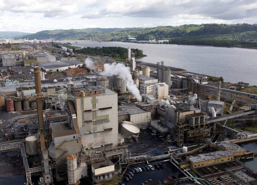 Aftermath of a chemical tank rupture at the Nippon Dynawave Packaging pulp and paper mill in Longview