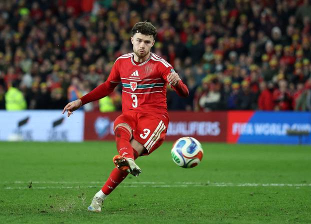 FIFA World Cup - UEFA Qualifiers - Semi Final - Wales v Bosnia and Herzegovina