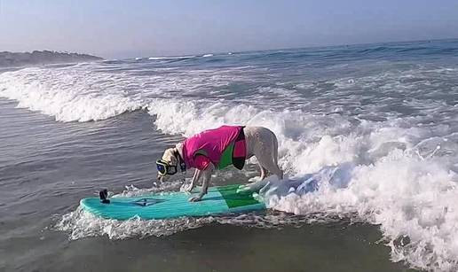 VIDEO Psi surferi 'zajahali' su spretno kalifornijskim valovima