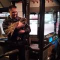 Vozač ZET-ova autobusa spasio ozlijeđenu sovu: 'Trebat će je operirati kako bi mogla letjeti'