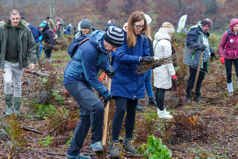 U godinu dana projekta Co2mpensating by planting posađeno preko 75,000 sadnica