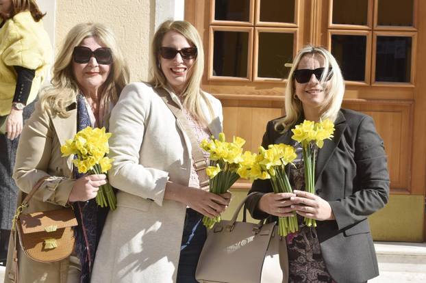 Šibenik: Liga protiv raka Šibenik obilježava Dan narcisa