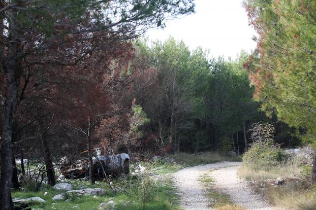 Šibenik: Ni nakon tri mjeseca policija ne zna tko je u kabrioletu sletio s ceste i uzrokovao požar