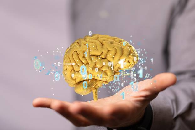 3D rendering of a floating human brain above a hand