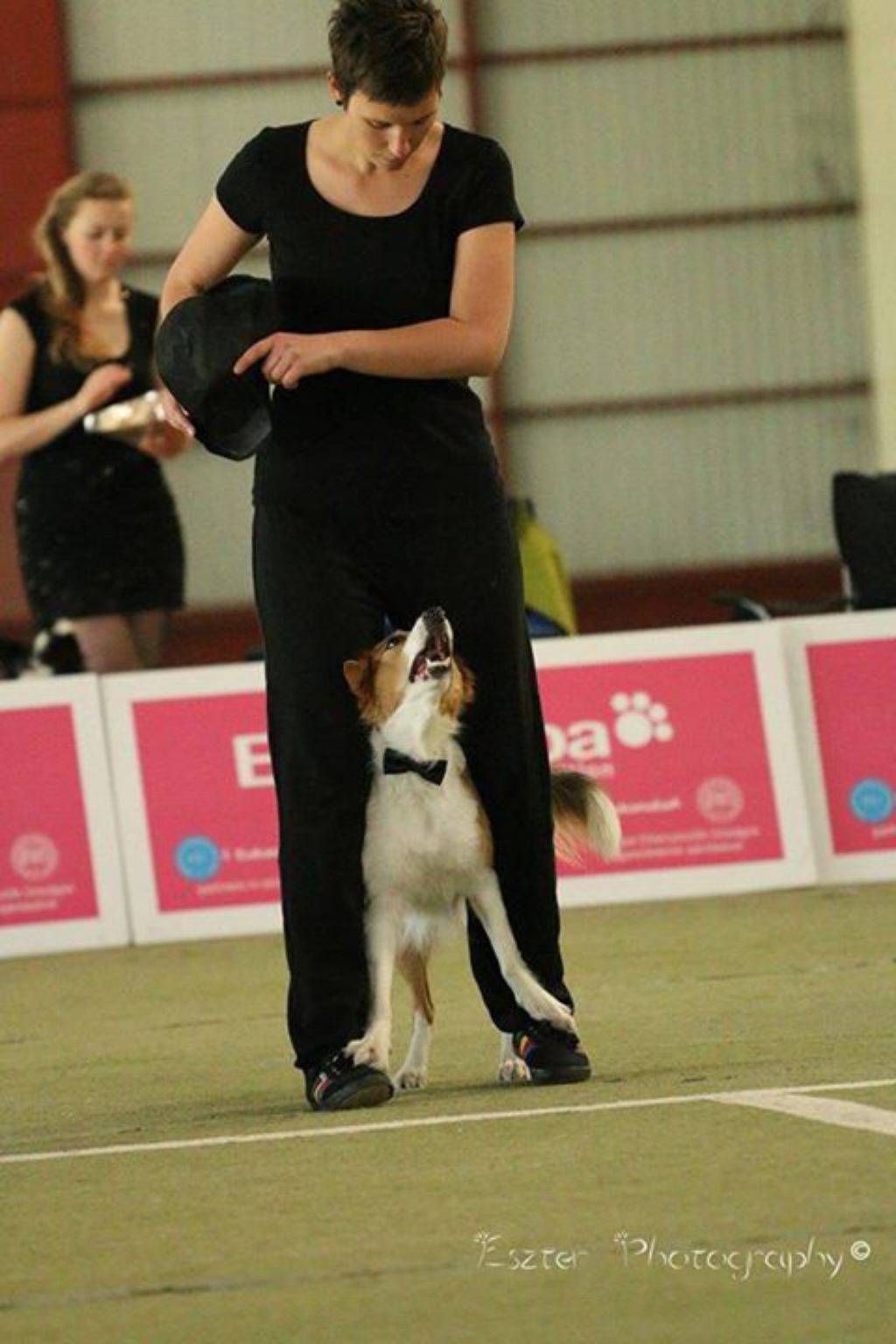 www.dogdancingteam.hr