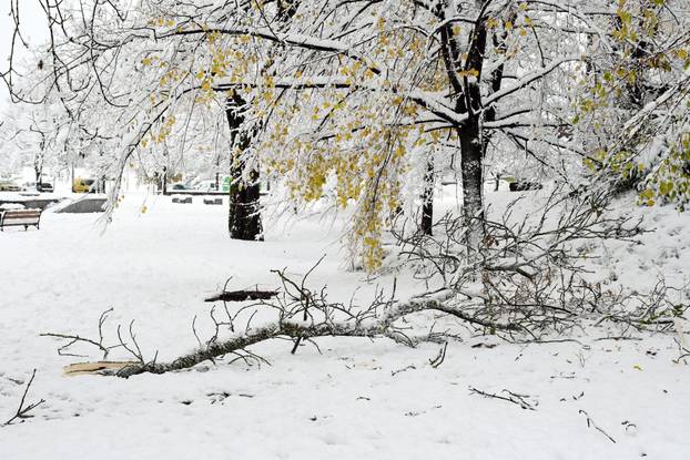 Sisak: Polomljene grane zbog težine snijega