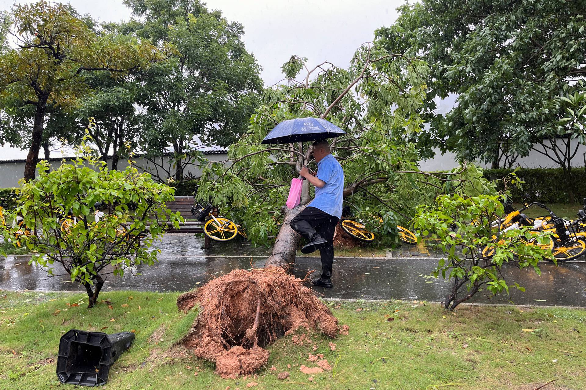 Typhoon Saola in Shenzhen