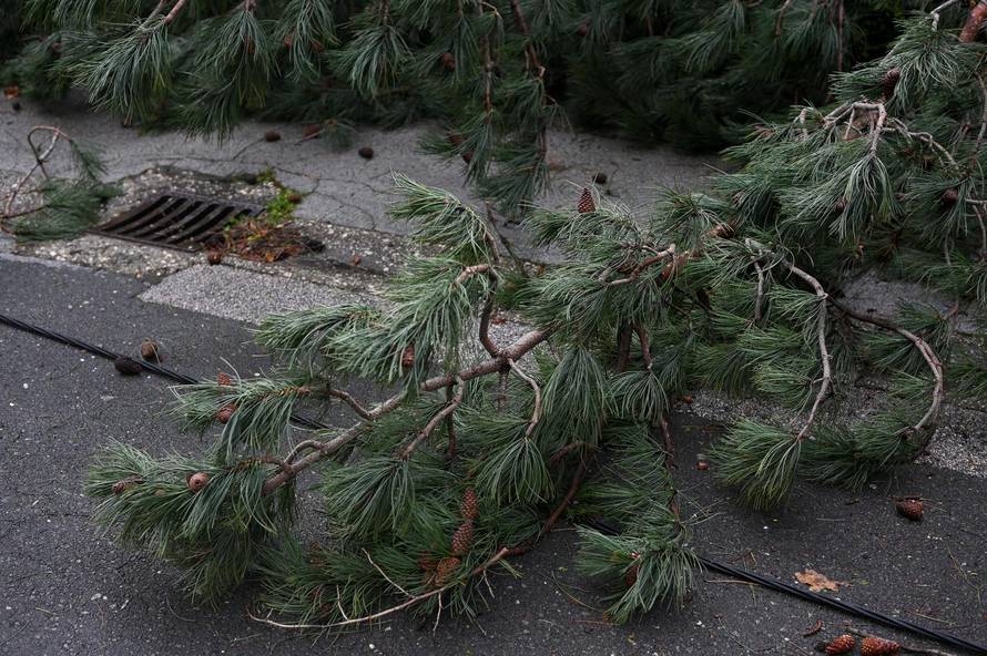 Zagreb: U nevremenu teško oštećeno gradsko groblje Mirogoj