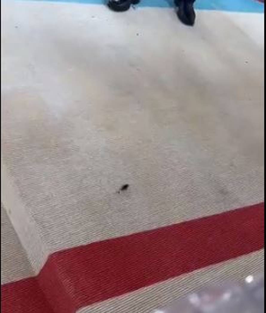 VIDEO Žohar posjetio Met Galu: 'Aaa nemojte ga ubiti, nemojte'