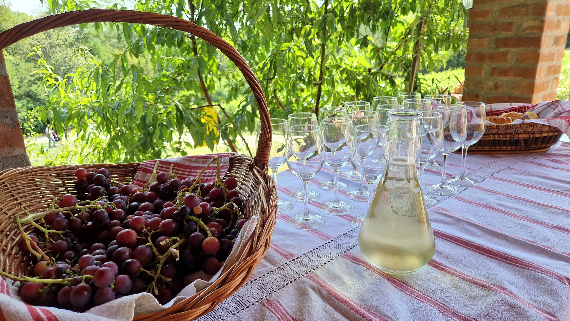 Sve je spremno za drugo izdanje vinskog festivala Slavonija i Podravina, wine not!?