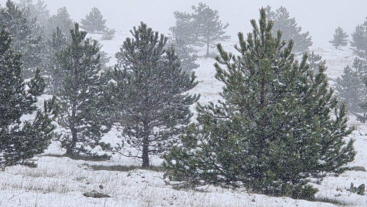 FOTO Zimska idila u Dalmaciji: Snijeg pao na Mosoru,  Biokovu, Svilaji, Kamešnici i Dinari