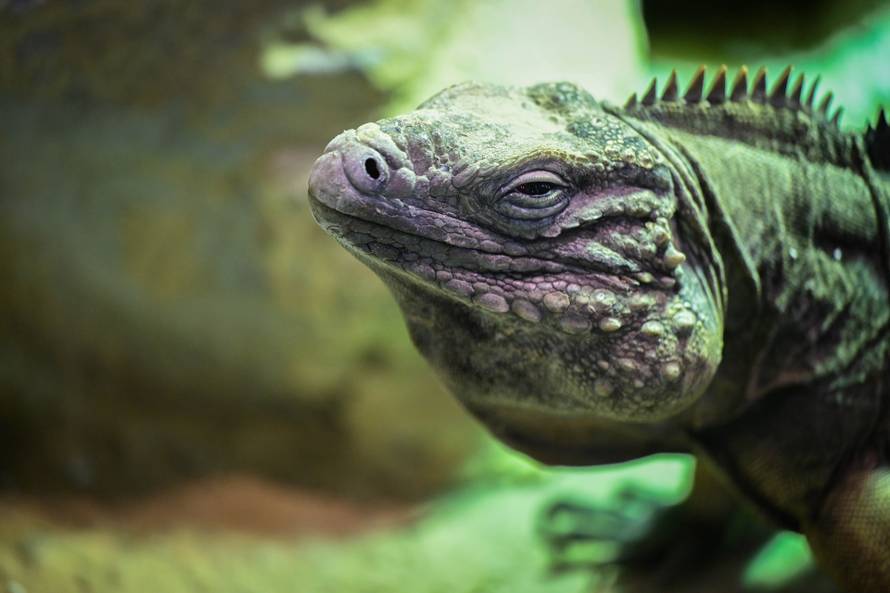 24sata Zagreb: Rodilište u Zoološkom vrtu