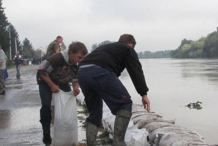 Željko Grgurinović